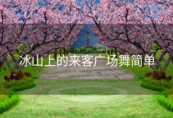 冰山上的来客广场舞简单