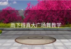雨下得真大广场舞教学