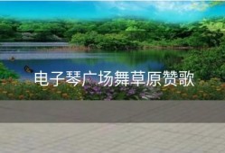 电子琴广场舞草原赞歌
