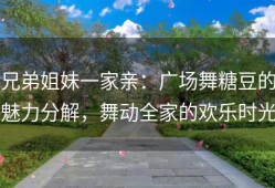 兄弟姐妹一家亲：广场舞糖豆的魅力分解，舞动全家的欢乐时光