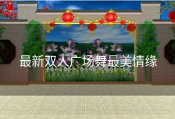 最新双人广场舞最美情缘