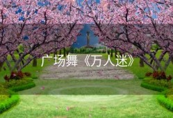 广场舞《万人迷》
