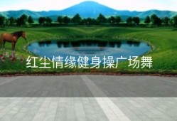 红尘情缘健身操广场舞