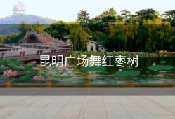 昆明广场舞红枣树