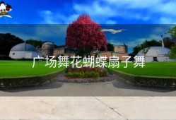 广场舞花蝴蝶扇子舞