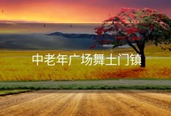 中老年广场舞土门镇