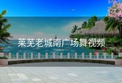 莱芜老城南广场舞视频