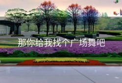 那你给我找个广场舞吧