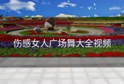 伤感女人广场舞大全视频