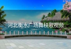 河北衡水广场舞秧歌视频