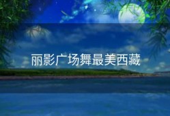 丽影广场舞最美西藏