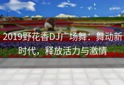 2019野花香DJ广场舞：舞动新时代，释放活力与激情