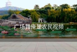 广场舞俺是农民视频