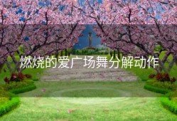 燃烧的爱广场舞分解动作