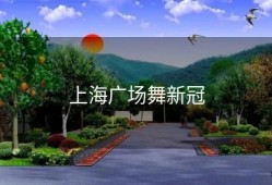 上海广场舞新冠