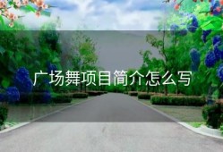 广场舞项目简介怎么写