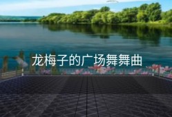 龙梅子的广场舞舞曲