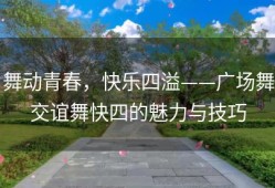 舞动青春，快乐四溢——广场舞交谊舞快四的魅力与技巧