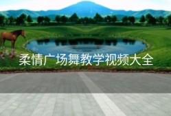 柔情广场舞教学视频大全