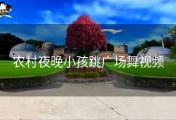 农村夜晚小孩跳广场舞视频