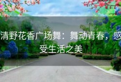 清野花香广场舞：舞动青春，感受生活之美