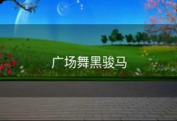 广场舞黑骏马