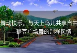 舞动快乐，与天上鸟儿共享自由——糖豆广场舞的别样风情