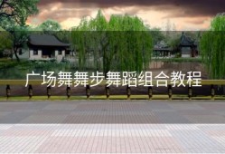 广场舞舞步舞蹈组合教程