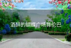 酒醉的蝴蝶广场舞伦巴