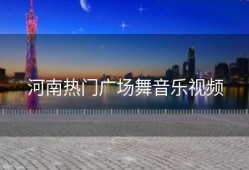 河南热门广场舞音乐视频
