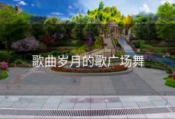 歌曲岁月的歌广场舞