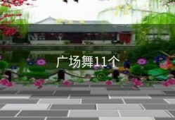 广场舞11个
