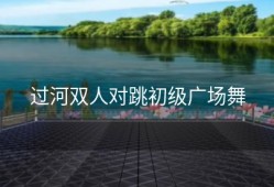 过河双人对跳初级广场舞