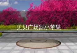 贝贝广场舞小苹果