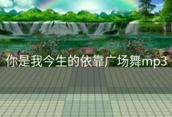 你是我今生的依靠广场舞mp3