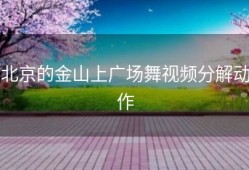北京的金山上广场舞视频分解动作