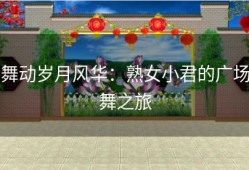 舞动岁月风华：熟女小君的广场舞之旅