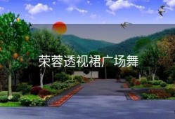 荣蓉透视裙广场舞