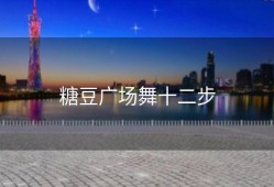 糖豆广场舞十二步