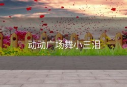 动动广场舞小三泪