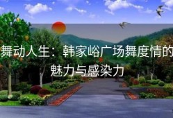 舞动人生：韩家峪广场舞度情的魅力与感染力