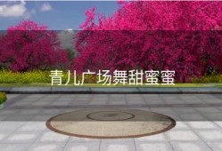 青儿广场舞甜蜜蜜