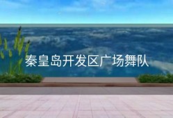 秦皇岛开发区广场舞队