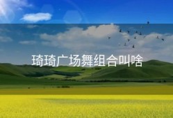 琦琦广场舞组合叫啥