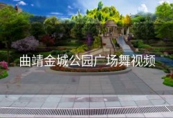 曲靖金城公园广场舞视频