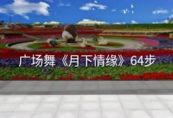 广场舞《月下情缘》64步