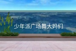 少年派广场舞大妈们