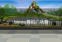 bingo舞蹈广场舞