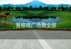 曾格格广场舞全部