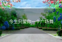 今生只爱你一个广场舞